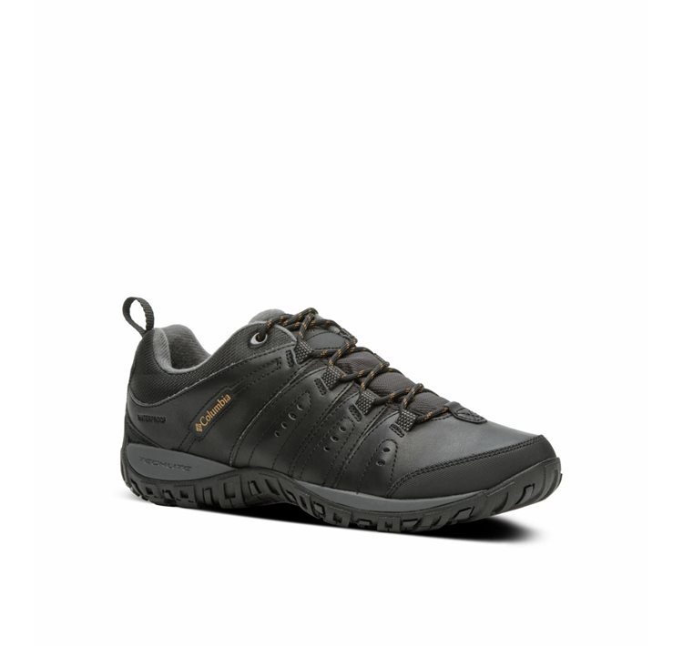 Men's Woodburn™ II WP Footwear