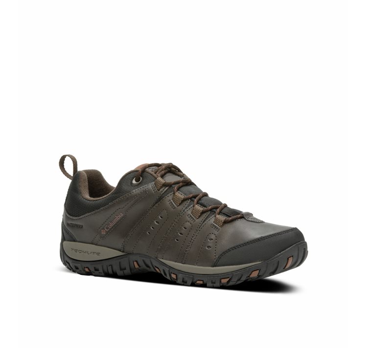 Men's Woodburn™ II WP Footwear