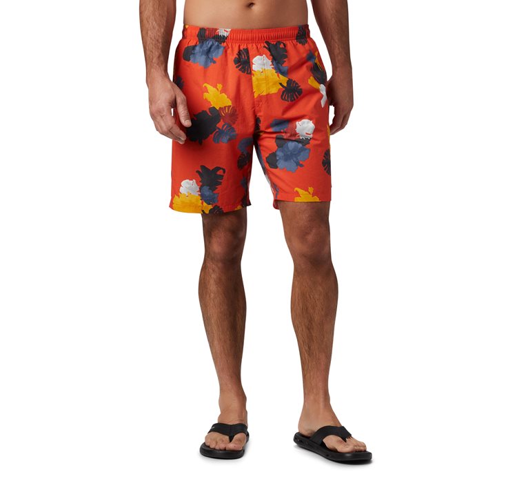 Ανδρικό Σορτς Μαγιό Big Dippers™ Water Short