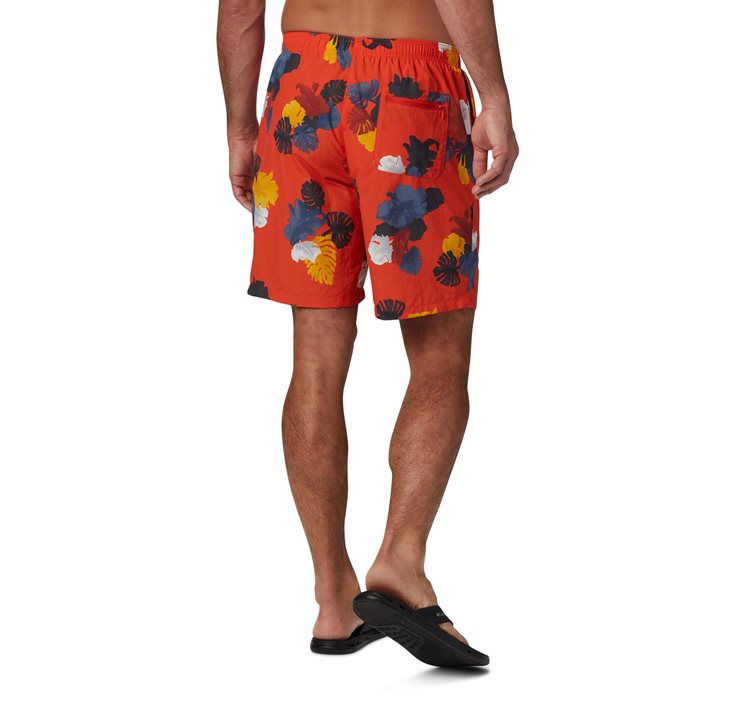 Ανδρικό Σορτς Μαγιό Big Dippers™ Water Short