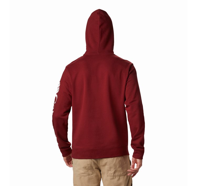 Men's Viewmont™ II Sleeve Graphic Hoodie