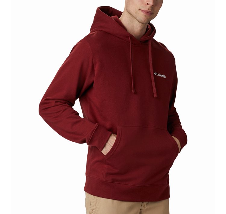 Men's Viewmont™ II Sleeve Graphic Hoodie