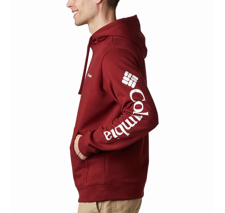 Men's Viewmont™ II Sleeve Graphic Hoodie