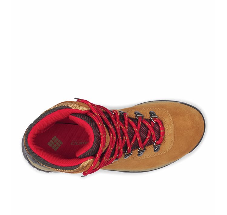Γυναικείο Παπούτσι Newton Ridge™ Plus Waterproof Amped