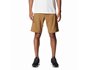 Ανδρικό σόρτς Silver Ridge™ Utility Cargo Short
