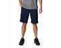 Ανδρικό σόρτς Silver Ridge™ Utility Cargo Short