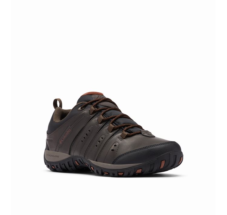 Men's Woodburn™ II WP Footwear