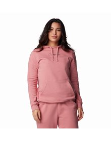 Women's Columbia Trek™ Graphic Treatment Hoodie  HOODIE